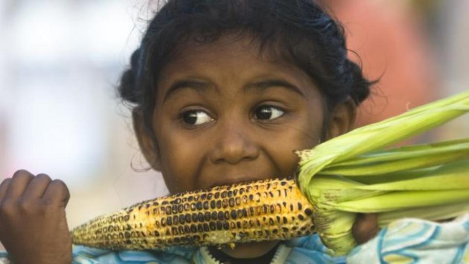 Asiatisches Mädchen isst einen Maiskolben